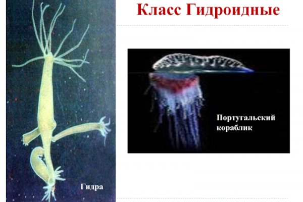 Кракен сайт 17at