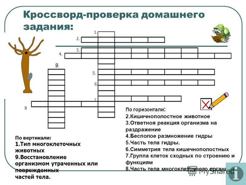 Ссылка на кракен tor